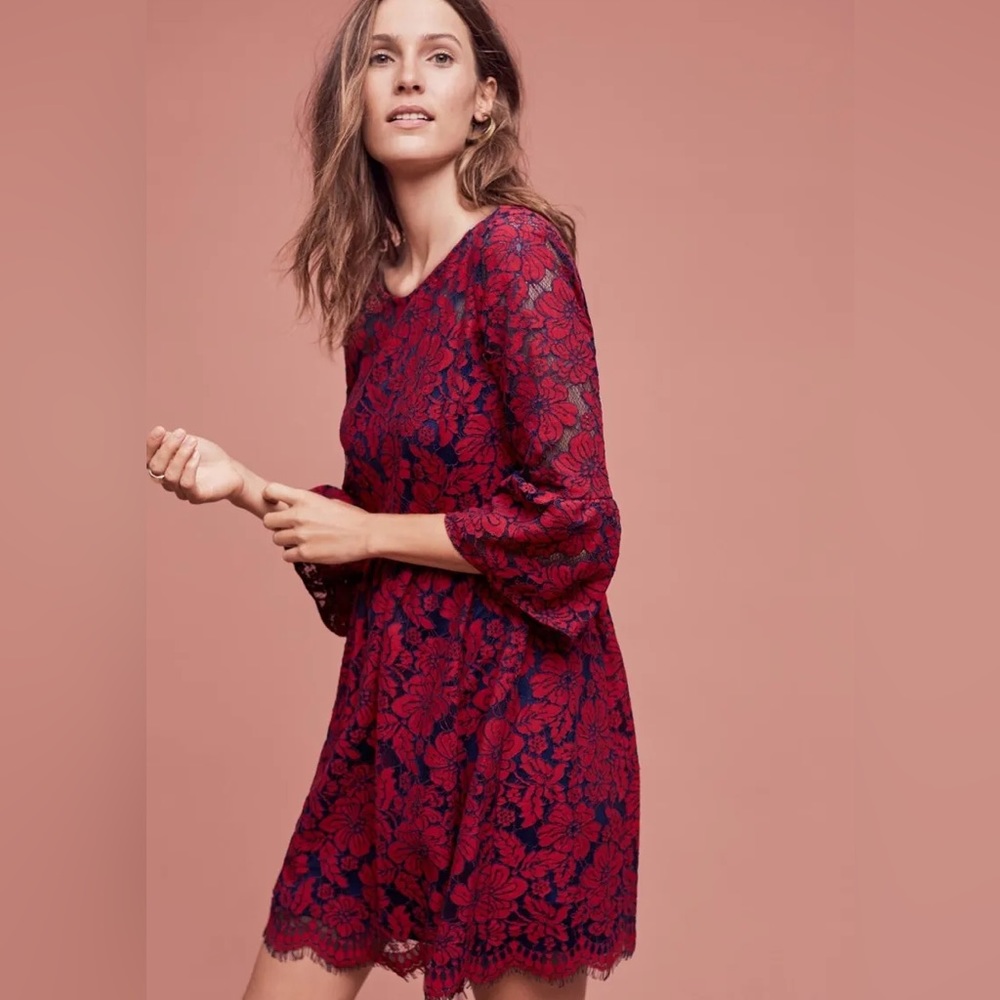 Anthropologie Red and Blue Floral Lace Dress